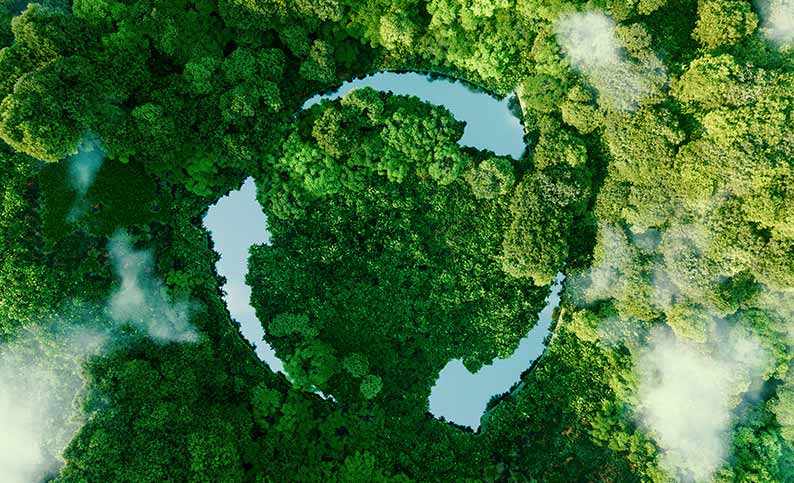 Industria de Protección Ambiental￼
